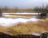 Pack Chasse - Safari Simulator - Screenshot 2