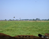 Pack Chasse - Safari Simulator - Screenshot 3