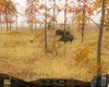 Pack Chasse - Safari Simulator - Screenshot 4