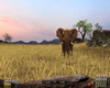 Pack Chasse - Safari Simulator - Screenshot 6