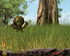 Pack Chasse - Safari Simulator - Screenshot 9