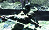 Call of Duty®: World at War - Screenshot 4