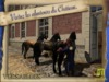 Versailles II - Screenshot 3