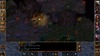 Baldur's Gate Enhanced Edition - Screenshot 11