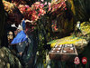 Alice : retour au pays de la folie - Screenshot 3