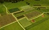 Farming Giant - Screenshot 8