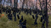 Total War: SHOGUN 2 - Screenshot 5