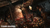 Tomb Raider - Survival Edition - Screenshot 8