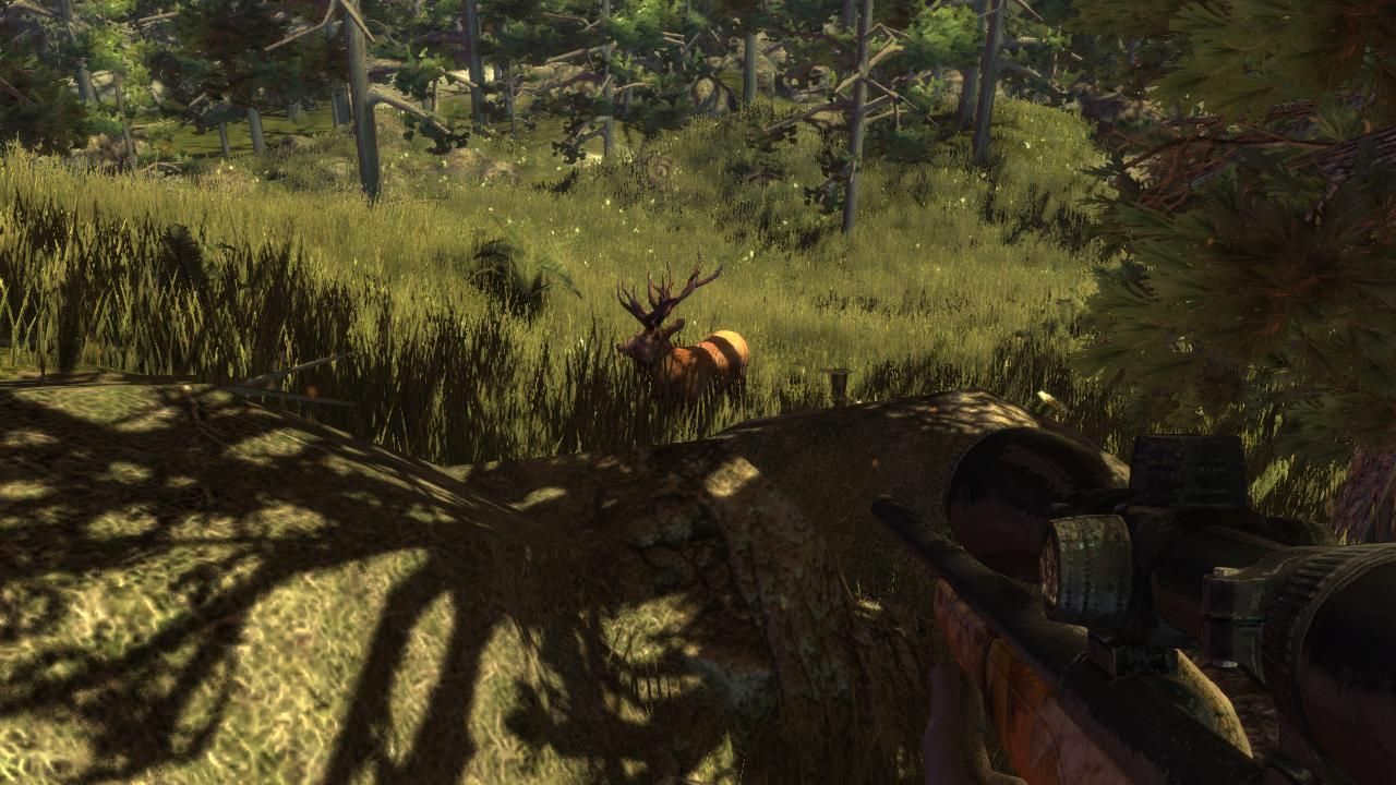 Hunter's Trophy 2 - Australia