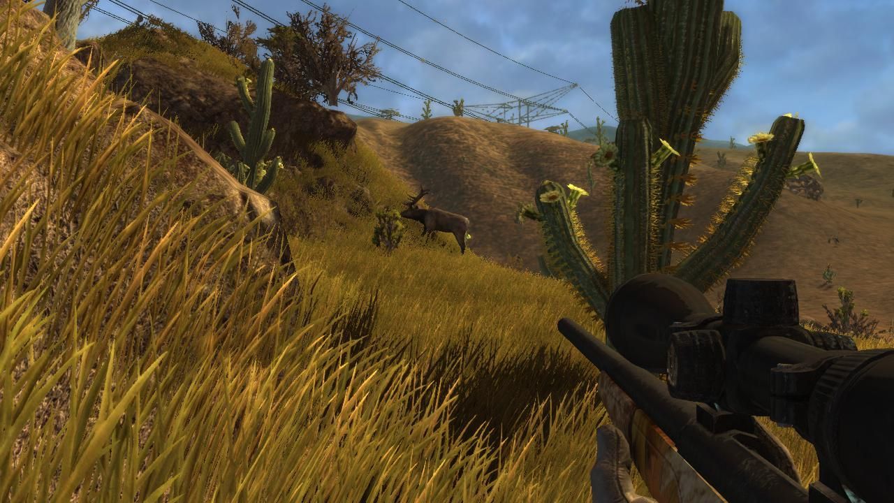 Hunter's Trophy 2 - America