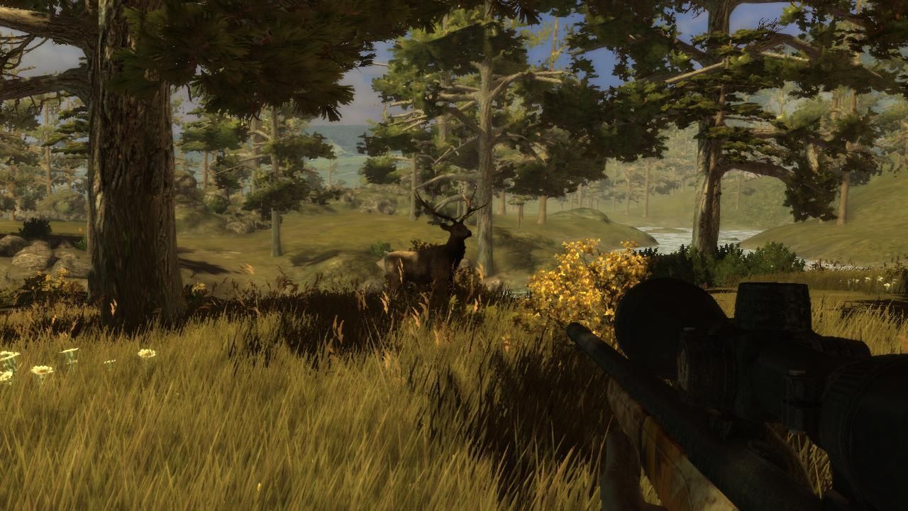 Hunter's Trophy 2 - America