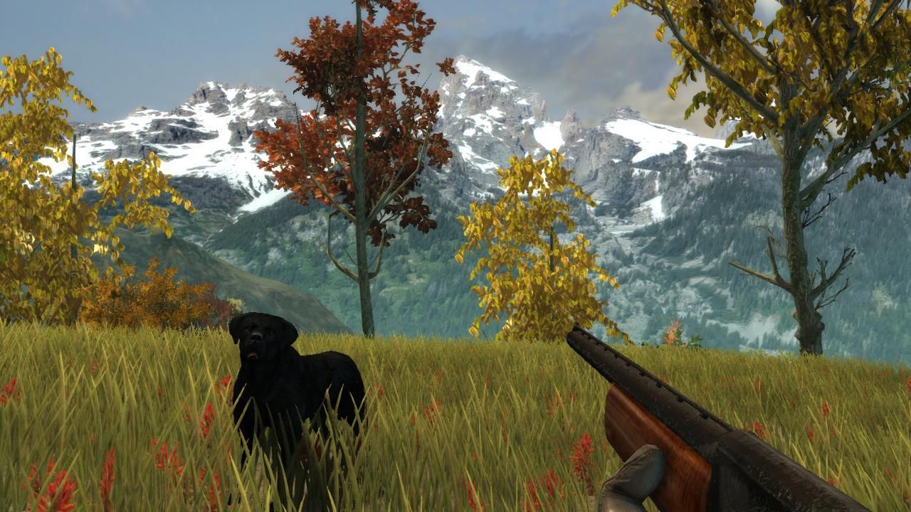 Hunter's Trophy 2 - America