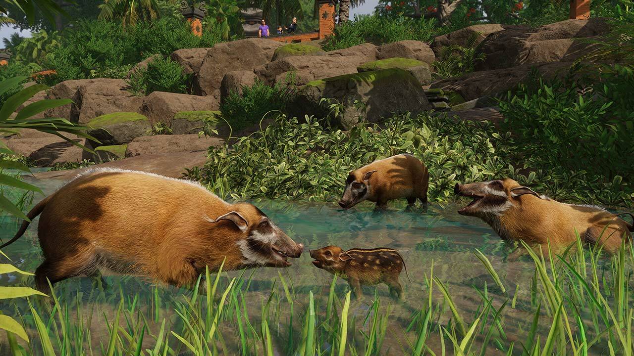 Planet Zoo: Tropical Pack (DLC)
