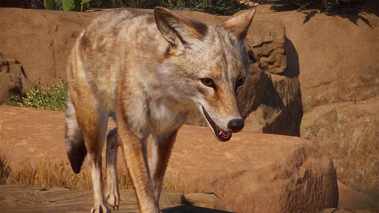Planet Zoo: Americas Animal Pack (DLC)