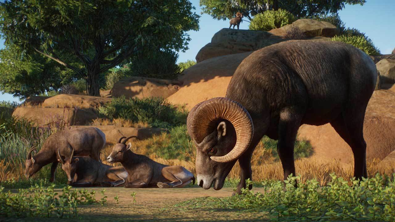 Planet Zoo: Americas Animal Pack (DLC)
