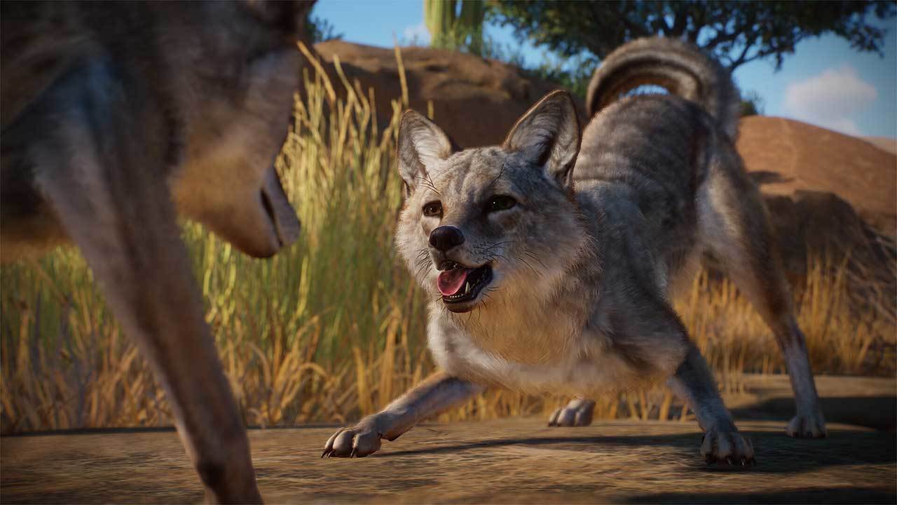 Planet Zoo: Americas Animal Pack (DLC)