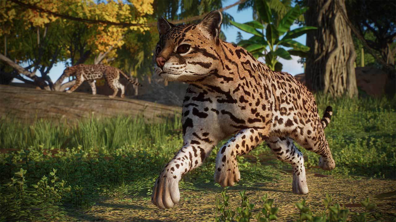 Planet Zoo: Americas Animal Pack (DLC)