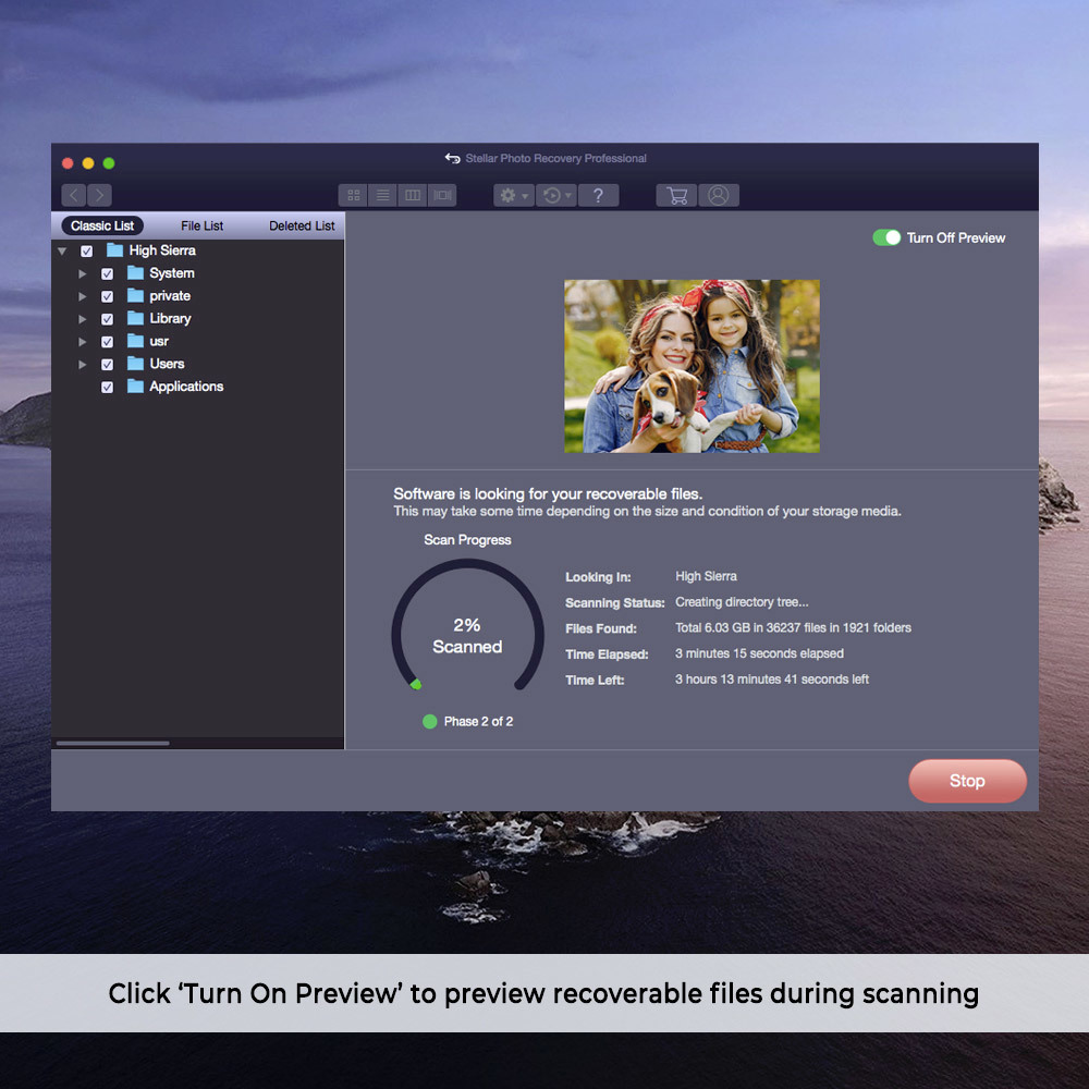 Dng suite for mac torrent
